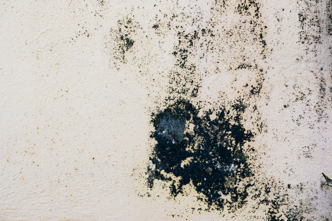 mould in basement walls